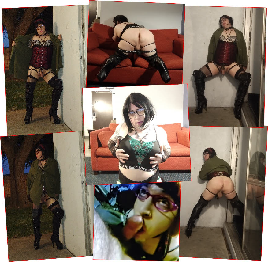 Sissy exposure gallery for tranny whore Nikki Bottoms Sissy exposure gallery for tranny whore Nikki Bottoms