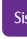 Sissy Cocksuckers 9.